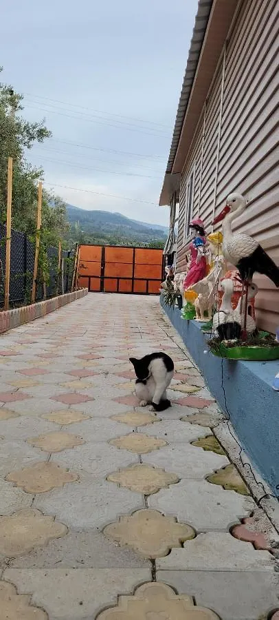 Belvu'S Home Fethiye Tyrkiet