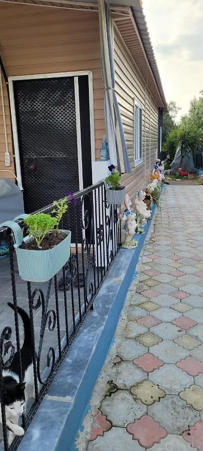 Belvu'S Home Fethiye