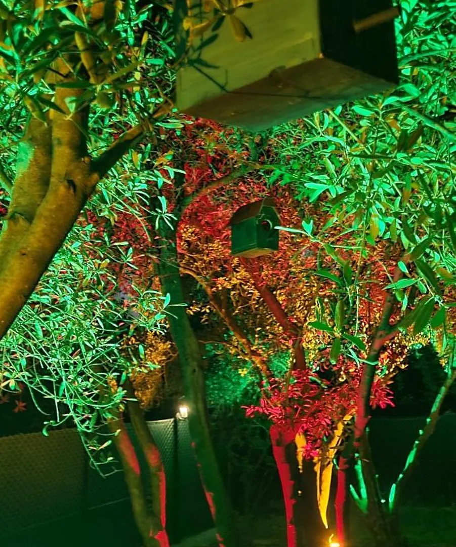 Belvu'S Home Fethiye Lejlighed